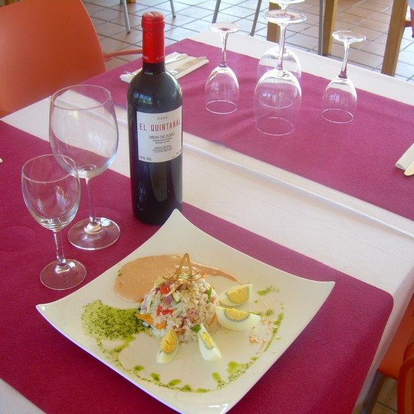 plato12 plato12